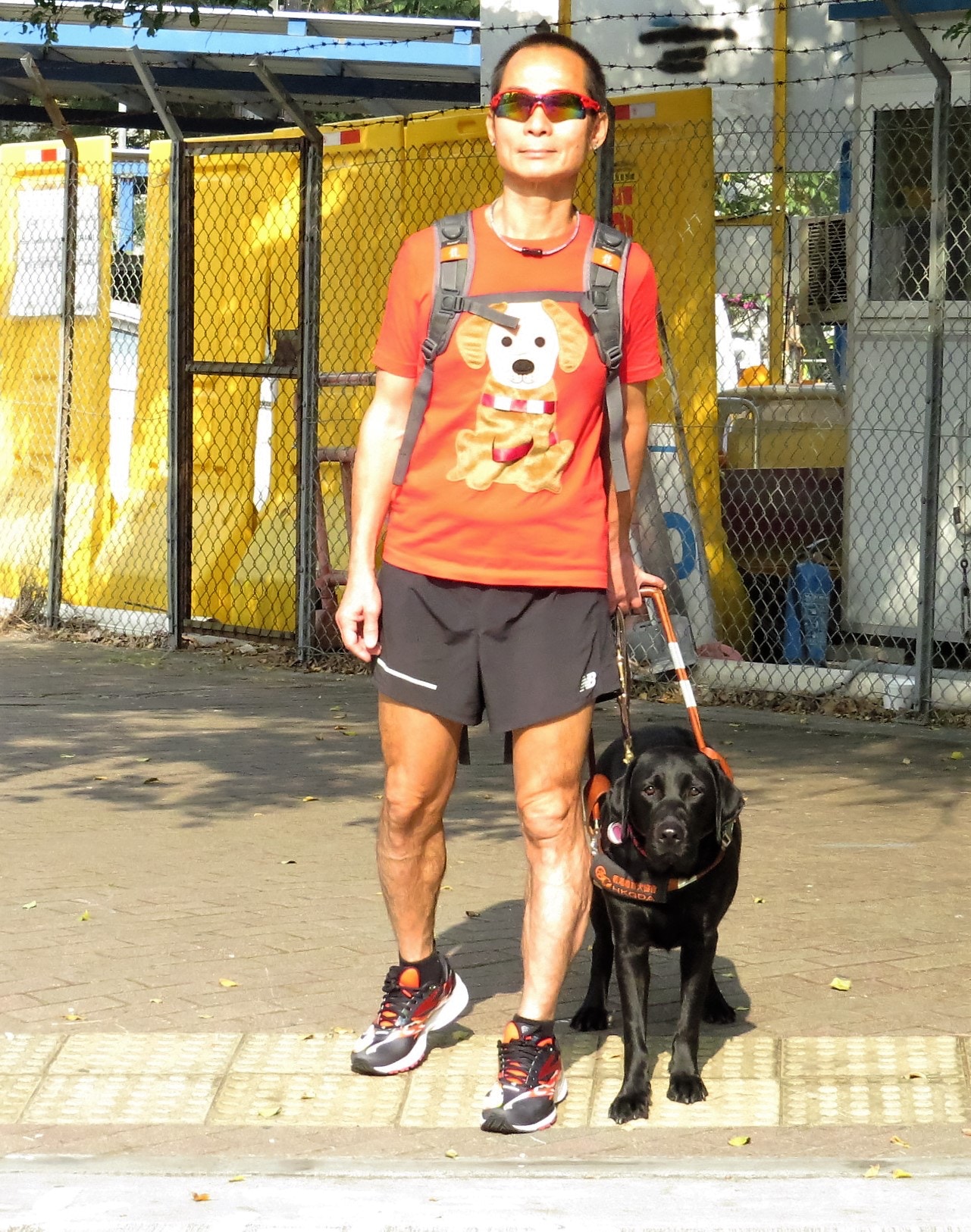 導盲犬身上會有專屬的導盲鞍。（香港導盲犬協會提供）