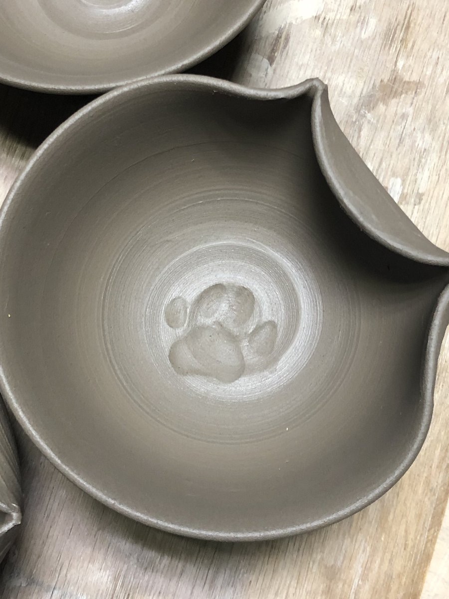 趣一趣】貓貓入侵留肉球腳印陶器工房關門重做網民：唔好啊｜香港01｜熱 