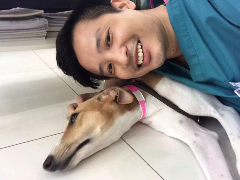 Stephen曾有意領養一頭獲救的獵犬,可惜最後忍痛放手。(受訪者提供) Stephen曾有意領養一頭獲救的獵犬,可惜最後忍痛放手。(受訪者提供)