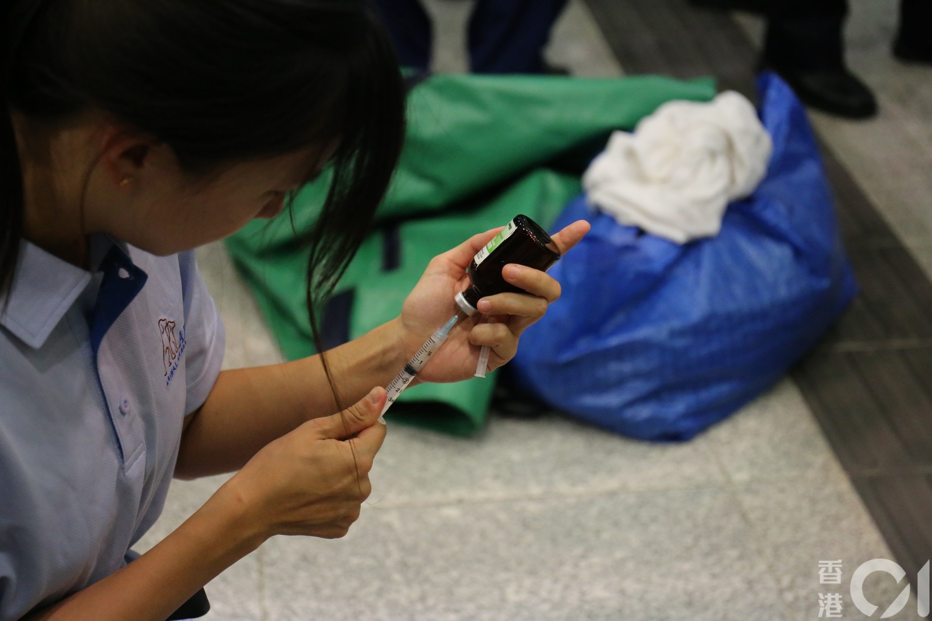 漁護署職員準備麻醉槍。(黃廸雯攝) 漁護署職員準備麻醉槍。(黃廸雯攝)