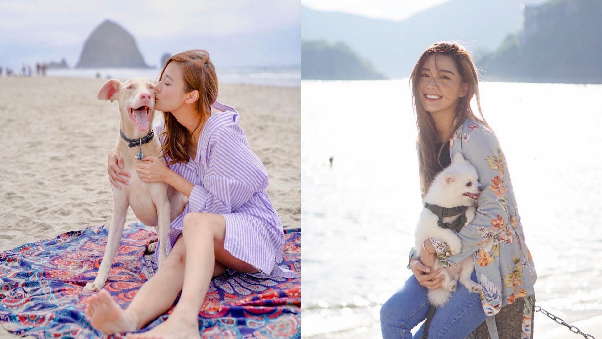 似唔似?(Instagram@ashley_ellabel / roxannetong ) 似唔似?(Instagram@ashley_ellabel / roxannetong )