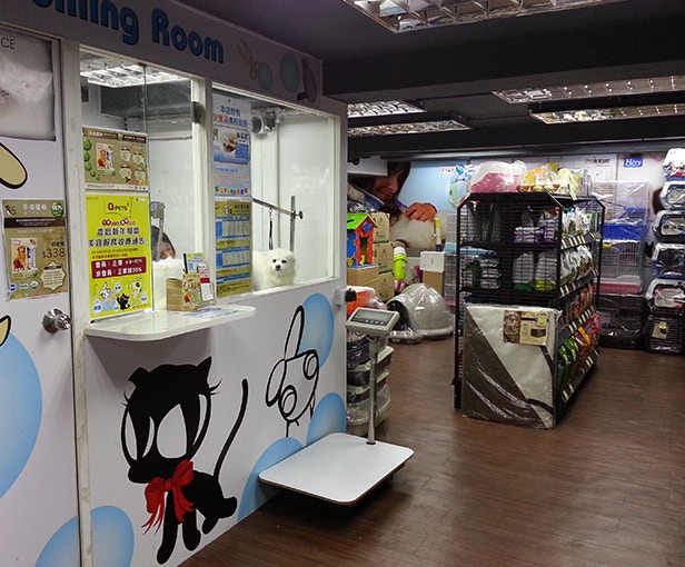 連鎖寵物店Q-Pets所售的動物並不限於貓狗,更包括兔子、倉鼠、龍貓等。(Q-Pets) 連鎖寵物店Q-Pets所售的動物並不限於貓狗,更包括兔子、倉鼠、龍貓等。(Q-Pets)