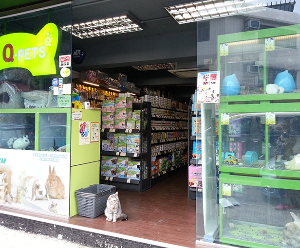 然而,官方聲明中並未有提及出售非貓狗類小動物的安排。(Q-Pets) 然而,官方聲明中並未有提及出售非貓狗類小動物的安排。(Q-Pets)