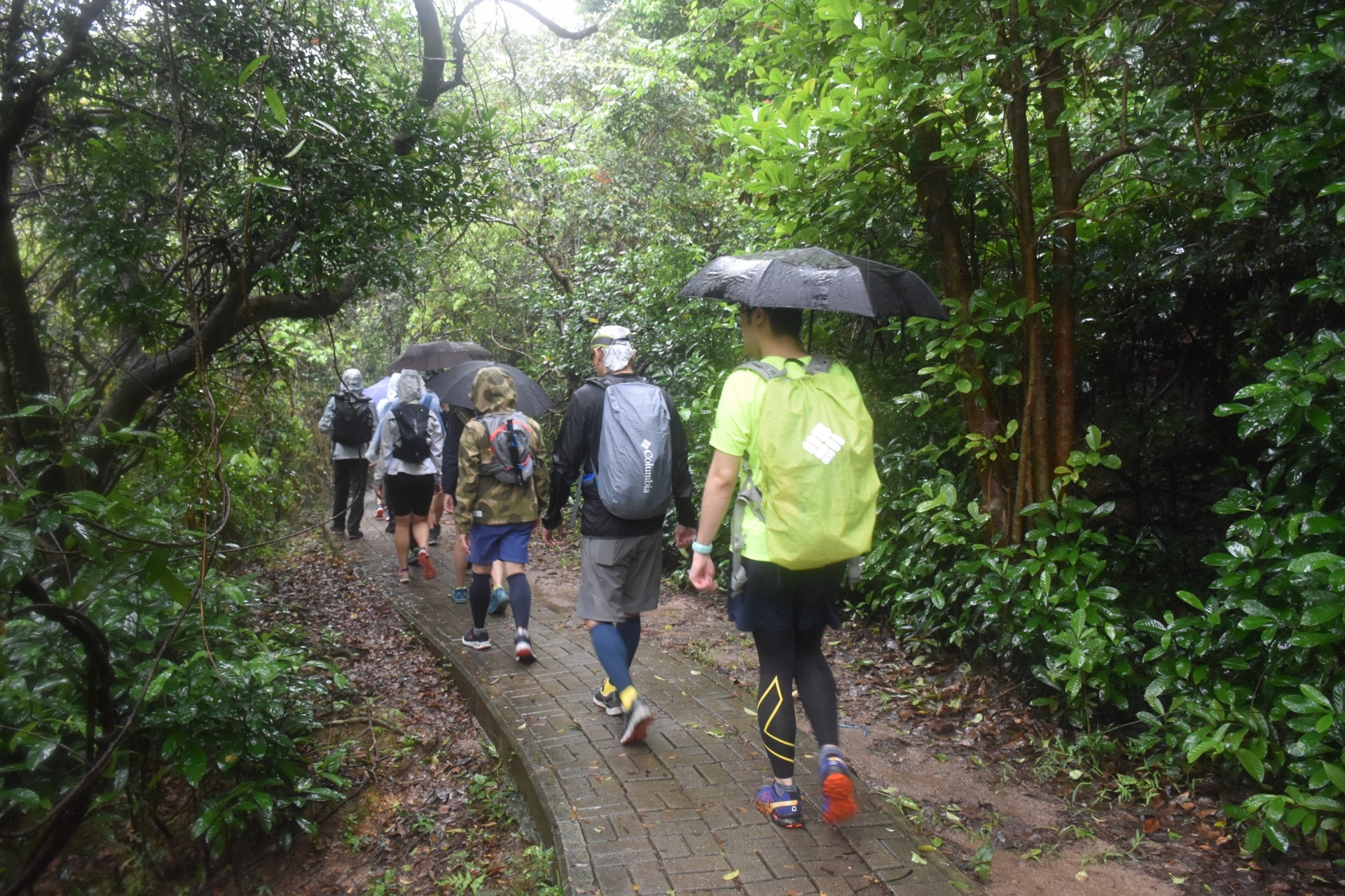 夏天行山，很容易會遇上雨天，應帶備雨具。（資料圖片）