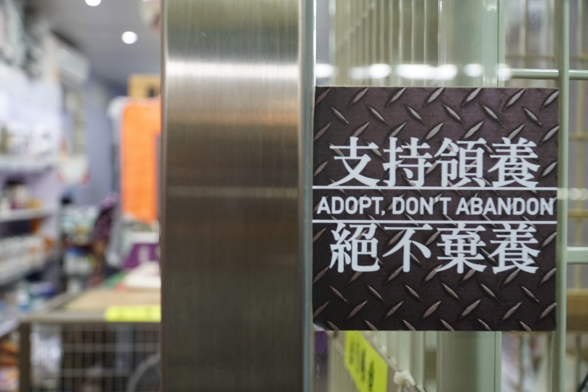 位於荃灣享和街的「寵物屋專門店Pet & House Pet Shop」經營達18年,約兩年前起接收流浪貓狗。(資料圖片) 位於荃灣享和街的「寵物屋專門店Pet & House Pet Shop」經營達18年,約兩年前起接收流浪貓狗。(資料圖片)