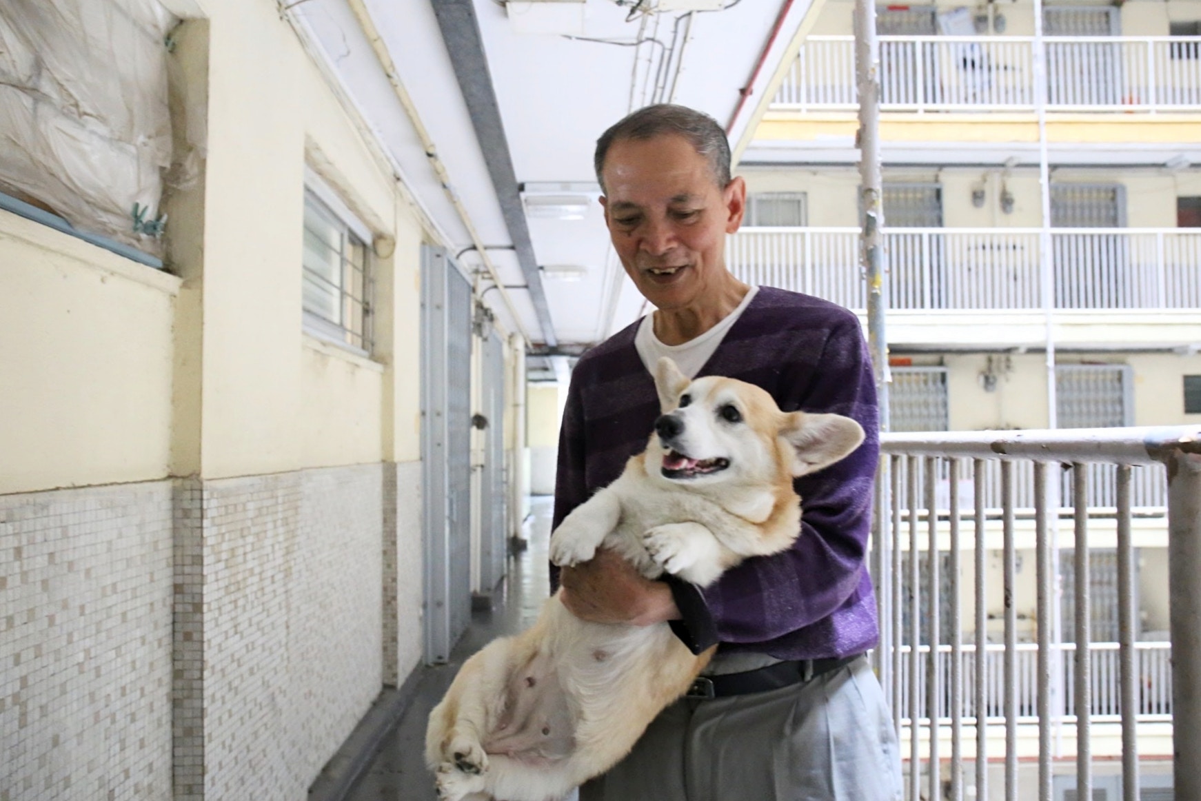 劉伯伯的鄰居近年多次投訴,指Money的吠叫聲擾民。(資料圖片) 劉伯伯的鄰居近年多次投訴,指Money的吠叫聲擾民。(資料圖片)