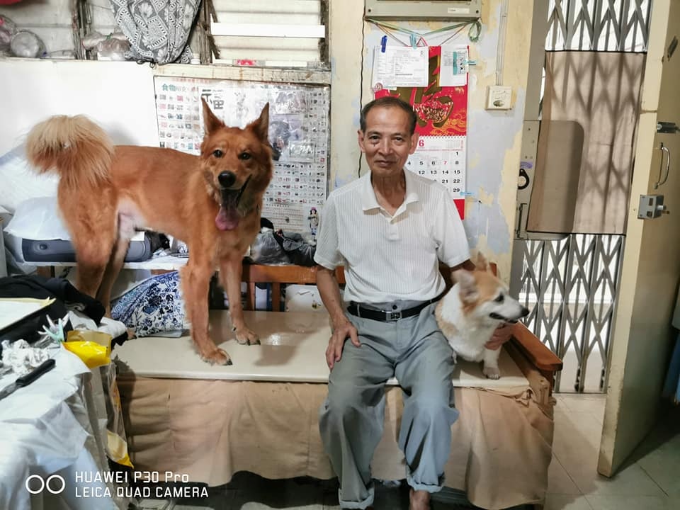 劉伯伯終可接回Money。圖中大狗非居於劉伯伯單位。(Facebook@German Lam) 劉伯伯終可接回Money。圖中大狗非居於劉伯伯單位。(Facebook@German Lam)