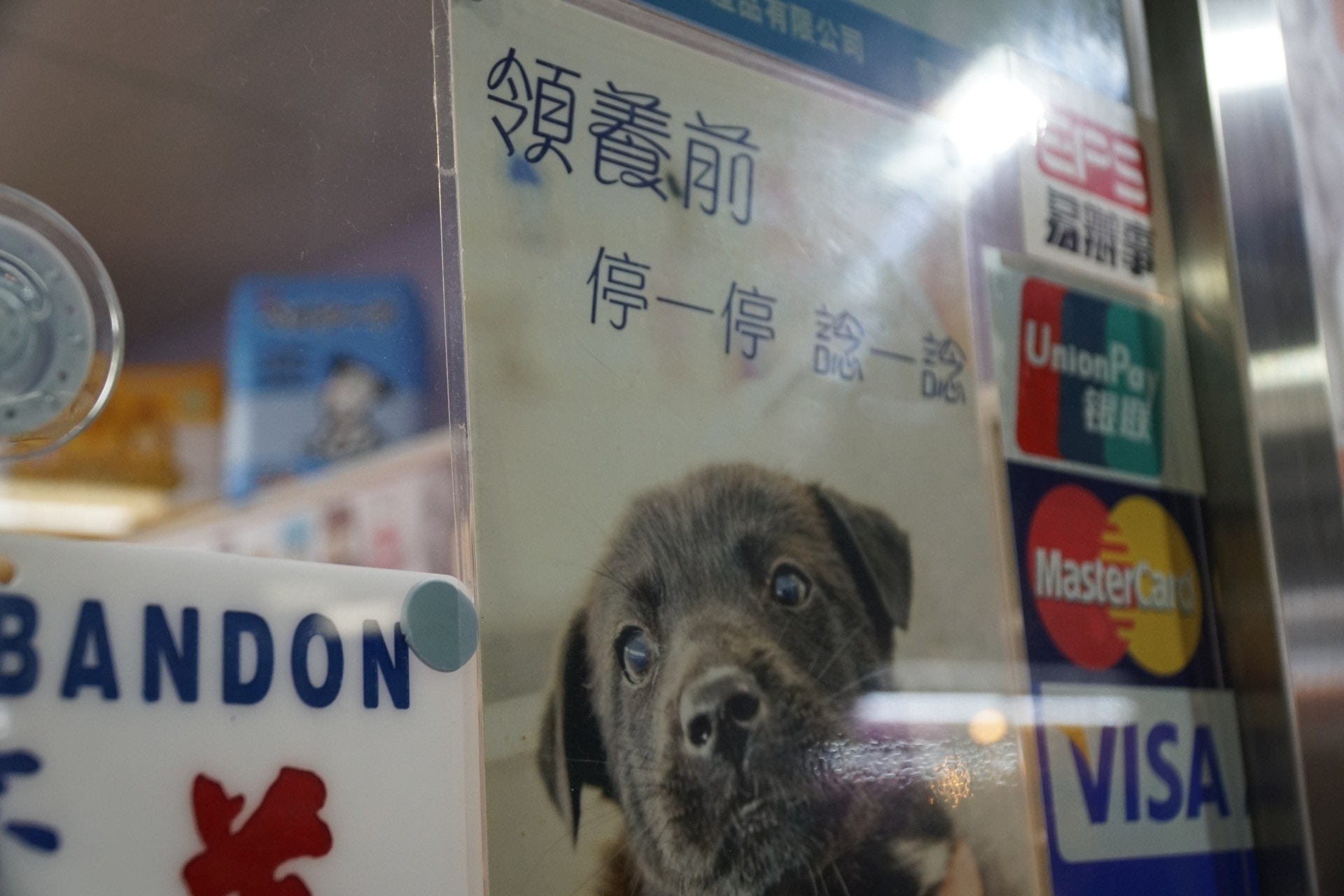 如有讀者有意領養貓狗,可以隨時聯絡他們的店舖。(資料圖片) 如有讀者有意領養貓狗,可以隨時聯絡他們的店舖。(資料圖片)