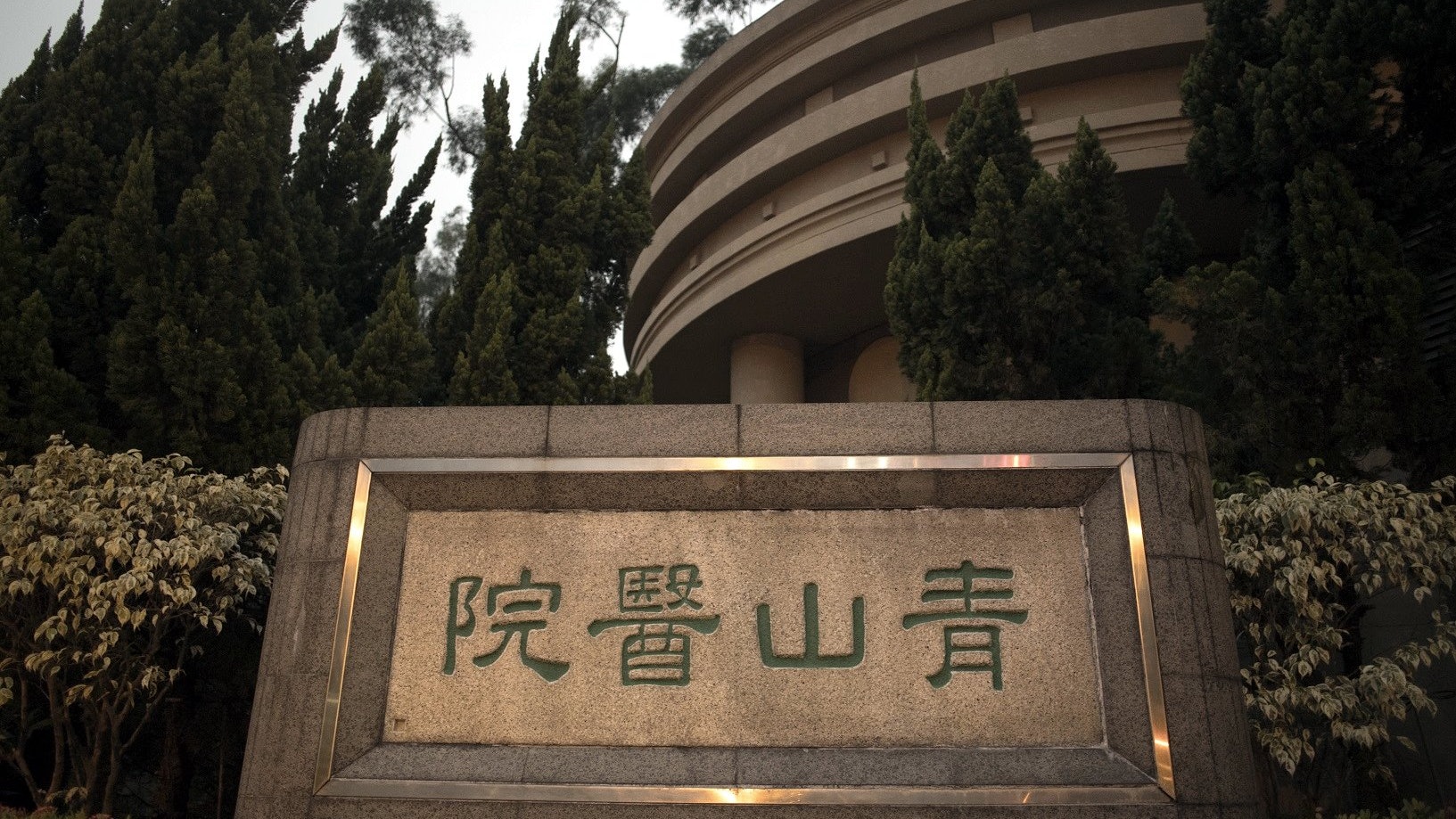 《「金不換」的故事》 《「金不換」的故事》