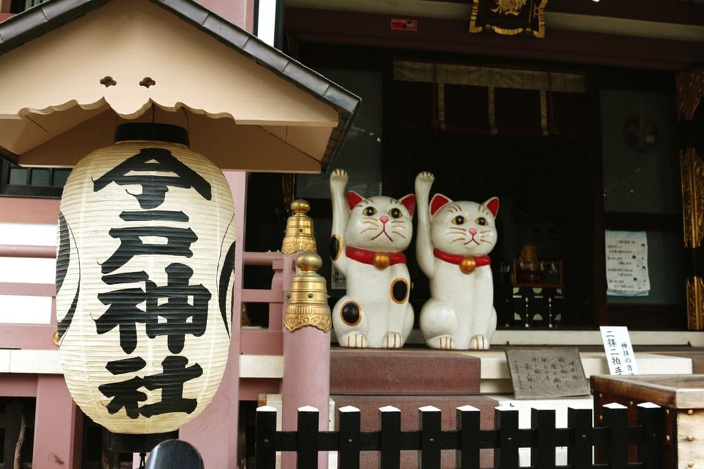 東京好去處 3大貓貓神社推介被逾千 貓 包圍求姻緣超靈 香港01 寵物