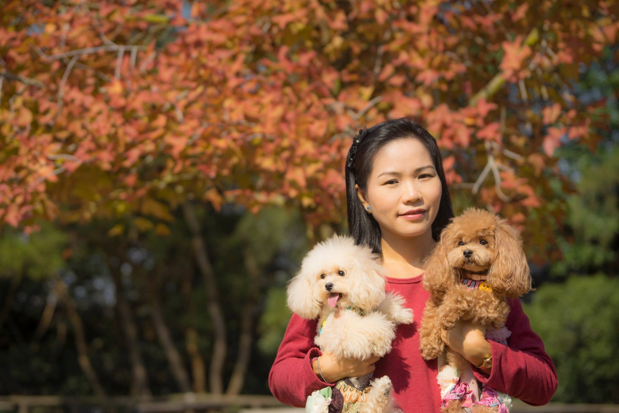 紅葉來了 影靚相吉時要揀日出後黃昏前攝影達人教你四大要訣 香港01 社會新聞