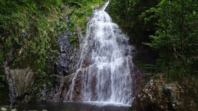【大埔行山路線】行林村梧桐寨瀑布群 夏日消暑好去處! 【大埔行山路線】行林村梧桐寨瀑布群 夏日消暑好去處!
