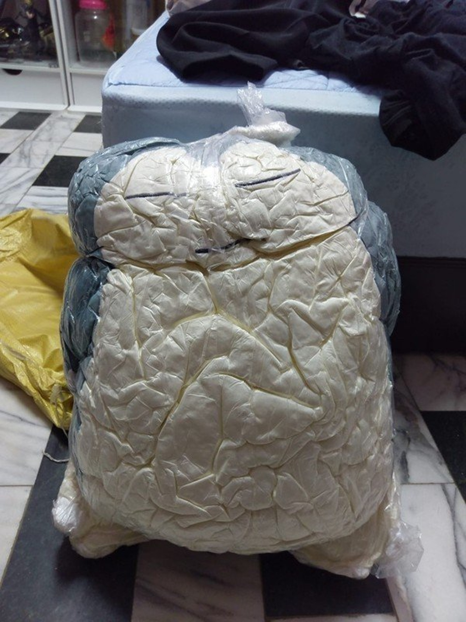 一名男網友在爆廢公社公開版分享一張照片,並表示從蝦皮購買了一隻《精靈寶可夢》中的卡比獸玩偶,沒想到收到實物後,卡比獸皺巴巴的模樣(Facebook@爆廢公社) 一名男網友在爆廢公社公開版分享一張照片,並表示從蝦皮購買了一隻《精靈寶可夢》中的卡比獸玩偶,沒想到收到實物後,卡比獸皺巴巴的模樣(Facebook@爆廢公社)