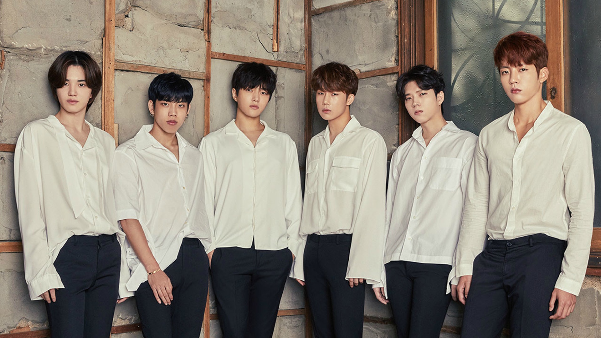 Hd限定 Hello Venus 解散 サンセゴメ Hd限定 Hello Venus 解散 サンセゴメ