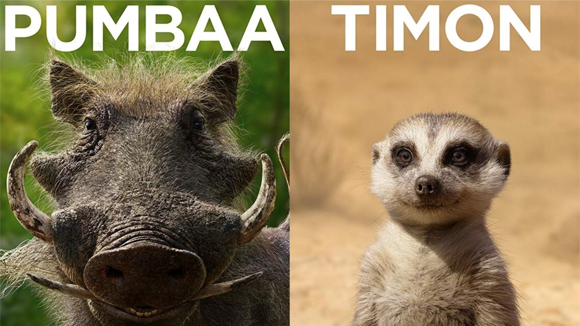 ãçå­ç å½­å½­åä¸æ»¿ãçåçæå°çµæ