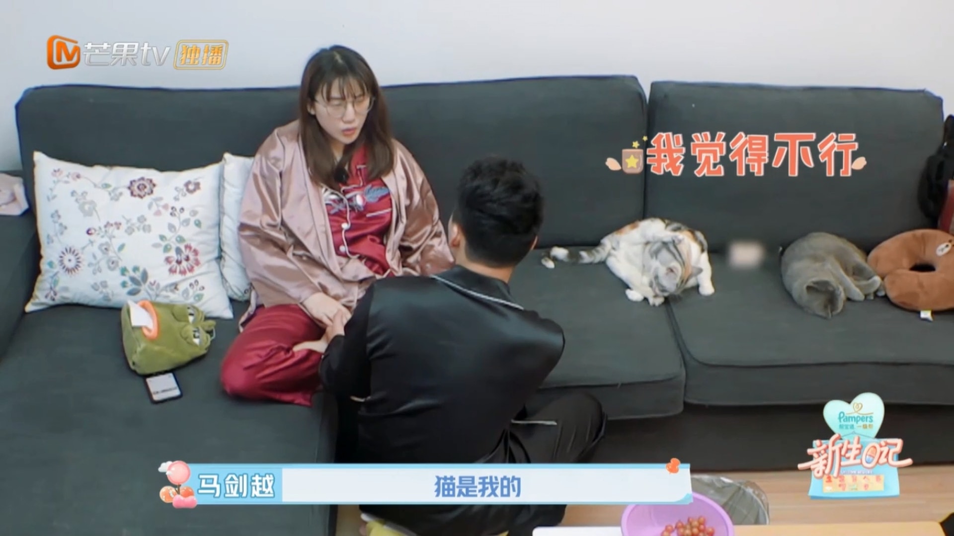 準媽媽馬劍越不捨得自己的貓狗,丈夫張杰努力勸服她。(Youtube影片截圖) 準媽媽馬劍越不捨得自己的貓狗,丈夫張杰努力勸服她。(Youtube影片截圖)
