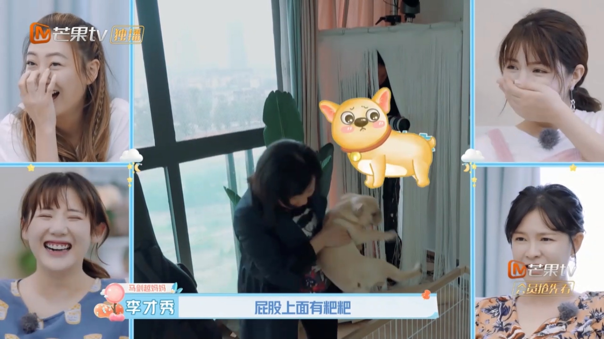馬劍越父母願意暫時照顧狗仔,讓狗仔逃過一劫。(Youtube影片截圖) 馬劍越父母願意暫時照顧狗仔,讓狗仔逃過一劫。(Youtube影片截圖)