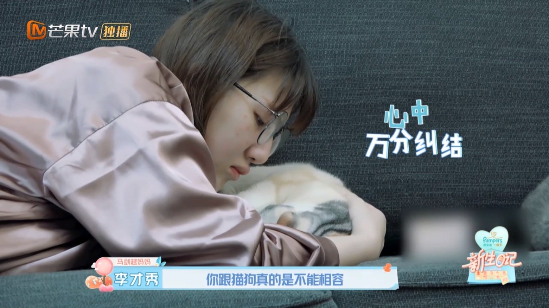 馬劍越不捨得兩隻貓咪。(Youtube影片截圖) 馬劍越不捨得兩隻貓咪。(Youtube影片截圖)