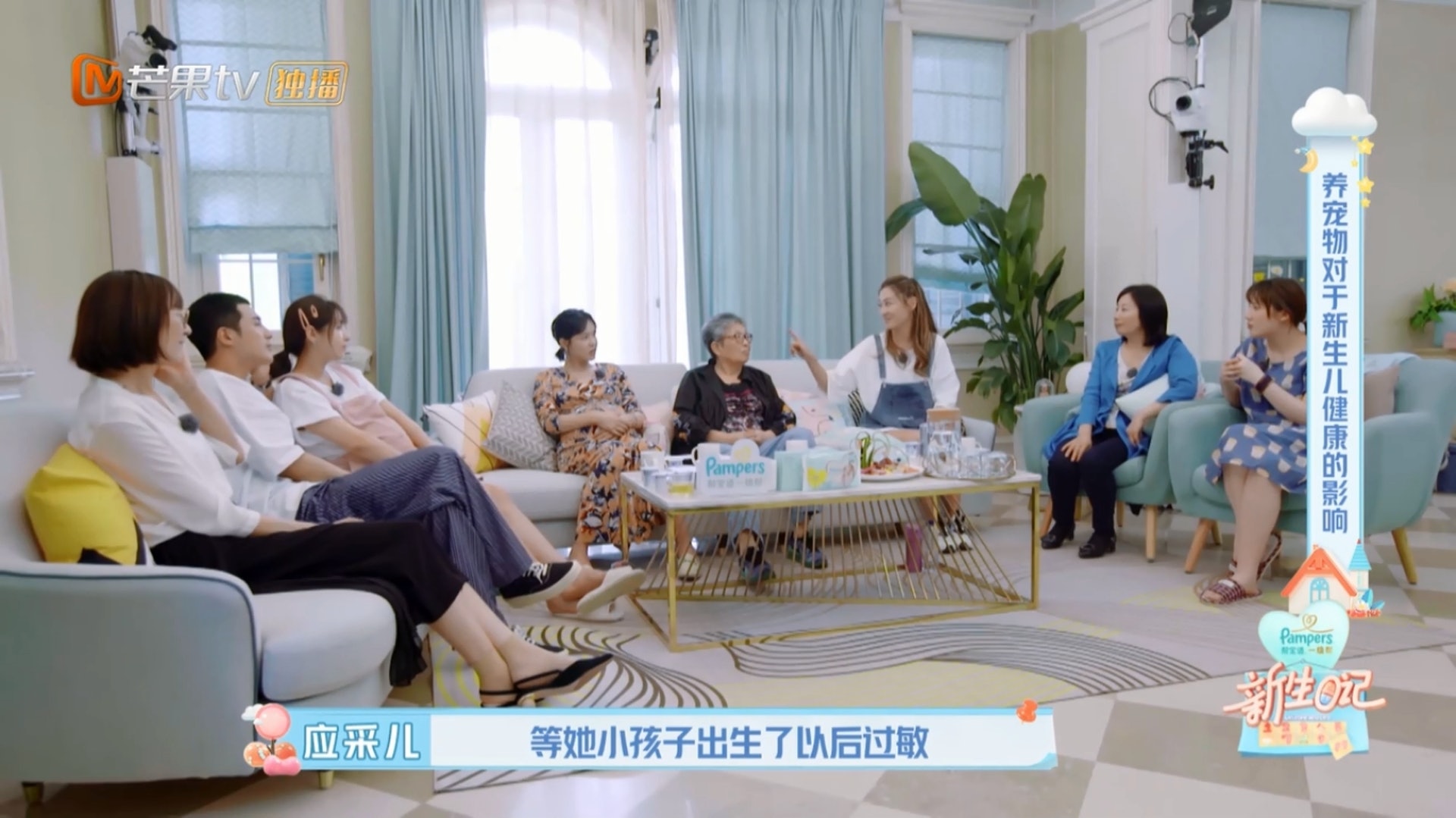 應采兒說貓狗會引起小孩敏感,一定要送走。(Youtube影片截圖) 應采兒說貓狗會引起小孩敏感,一定要送走。(Youtube影片截圖)