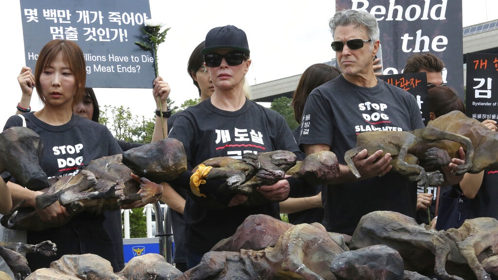 韓國反食狗肉集會 狗農旁邊「挑機」大啖食狗肉 韓國反食狗肉集會 狗農旁邊「挑機」大啖食狗肉