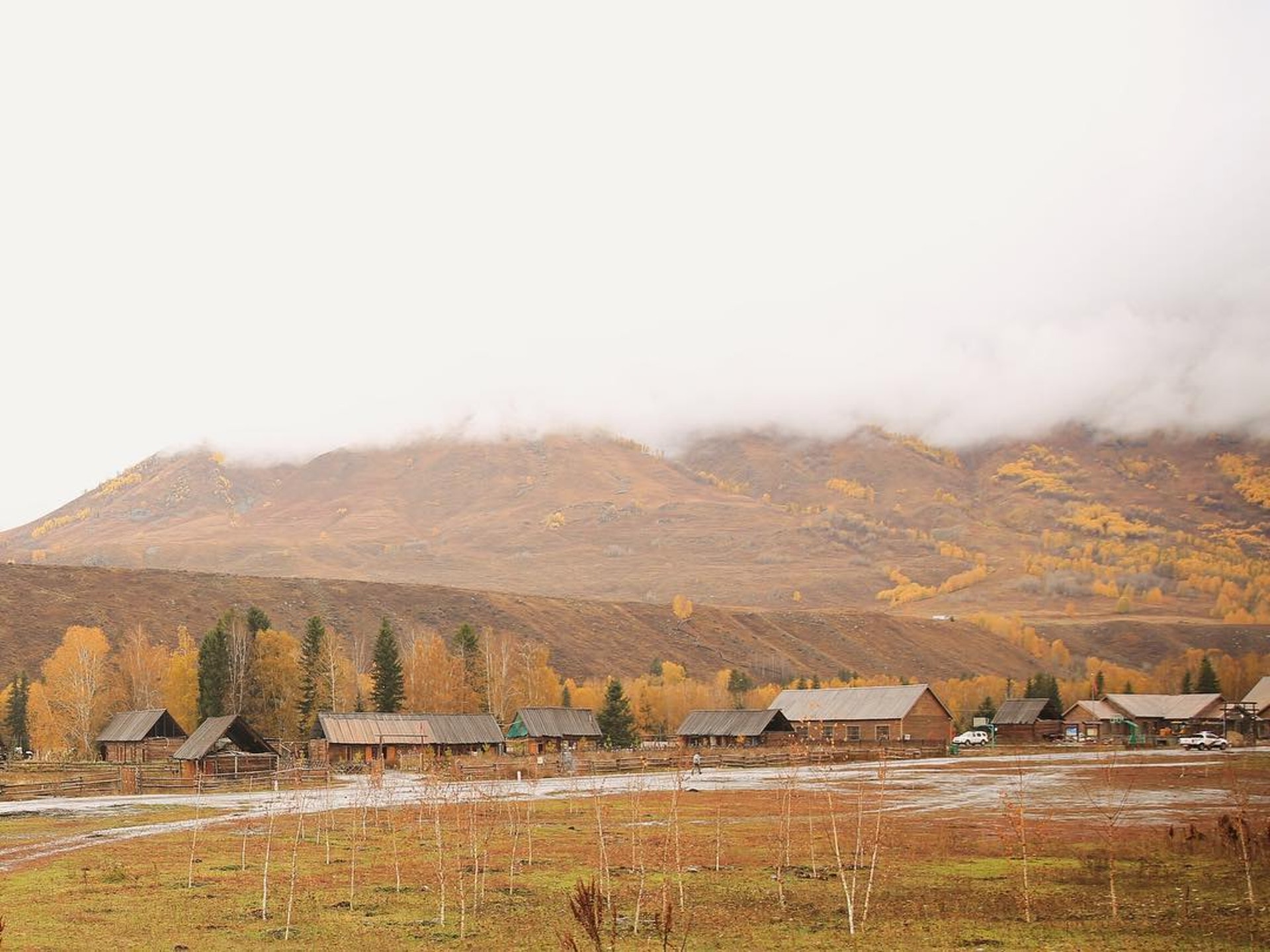 【中國|禾木村】(Instagram@darcy_0510)