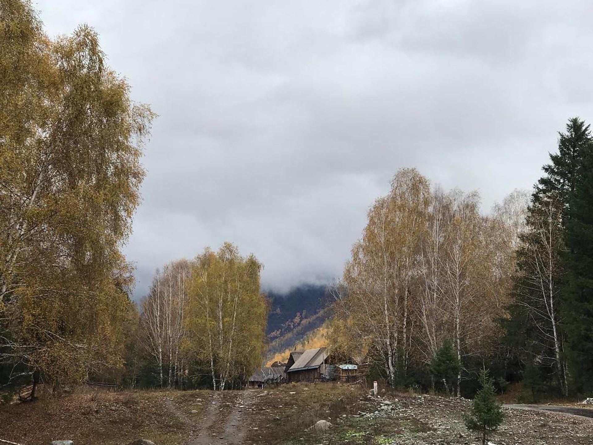 【中國|禾木村】(Instagram@darcy_0510) 【中國|禾木村】(Instagram@darcy_0510)