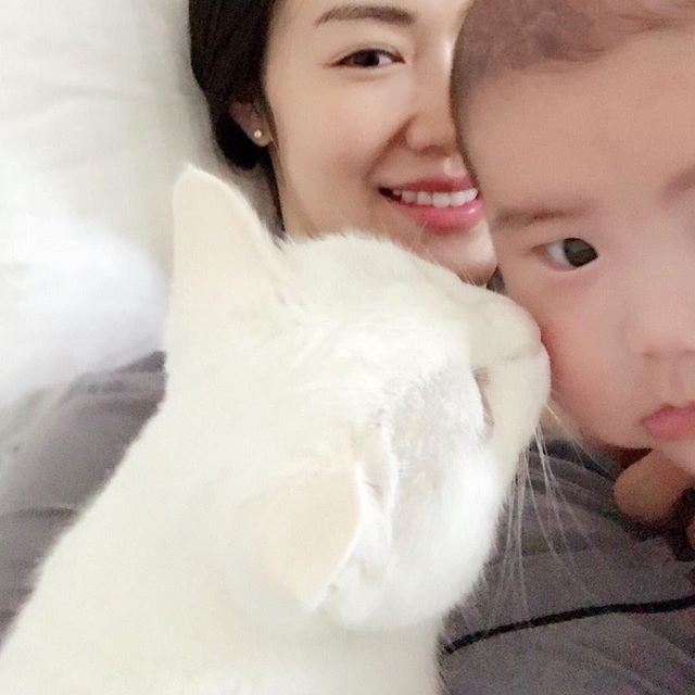 貓咪不但錫翠翠,更錫錫小孩子,仿如一家人。(葉翠翠IG圖片) 貓咪不但錫翠翠,更錫錫小孩子,仿如一家人。(葉翠翠IG圖片)