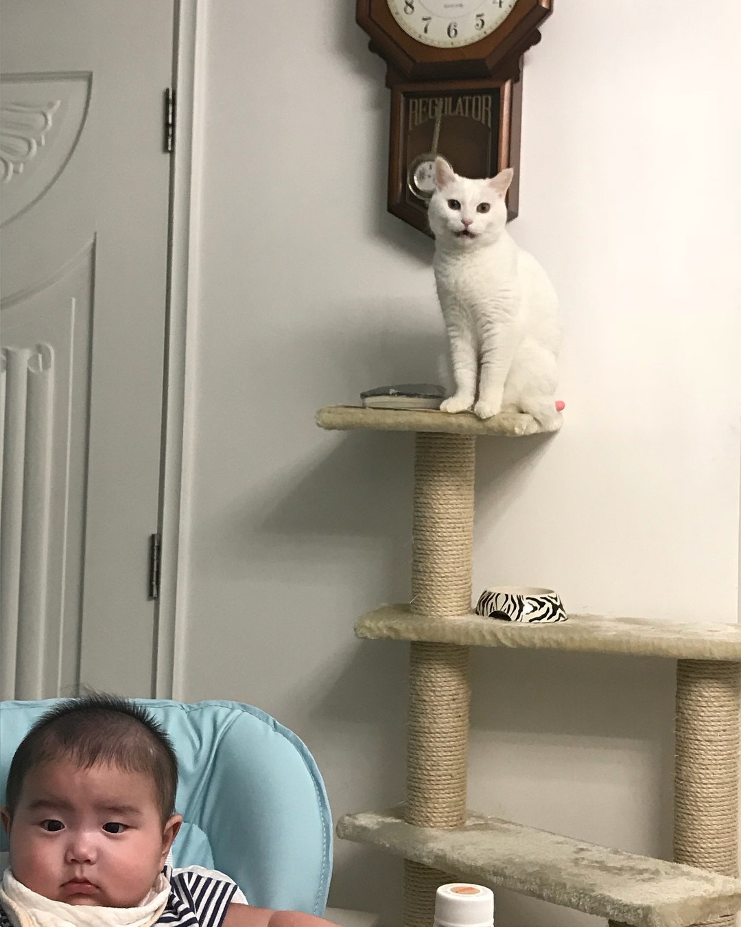 貓咪跟小孩可以和平共處。(葉翠翠IG圖片) 貓咪跟小孩可以和平共處。(葉翠翠IG圖片)