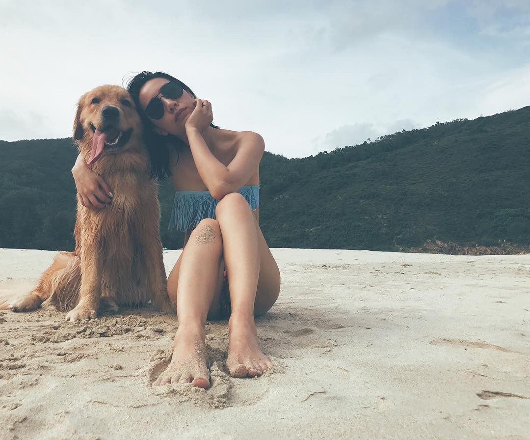 雖然Dash已漸老,但牠還是很健康。(吳雨霏IG圖片) 雖然Dash已漸老,但牠還是很健康。(吳雨霏IG圖片)