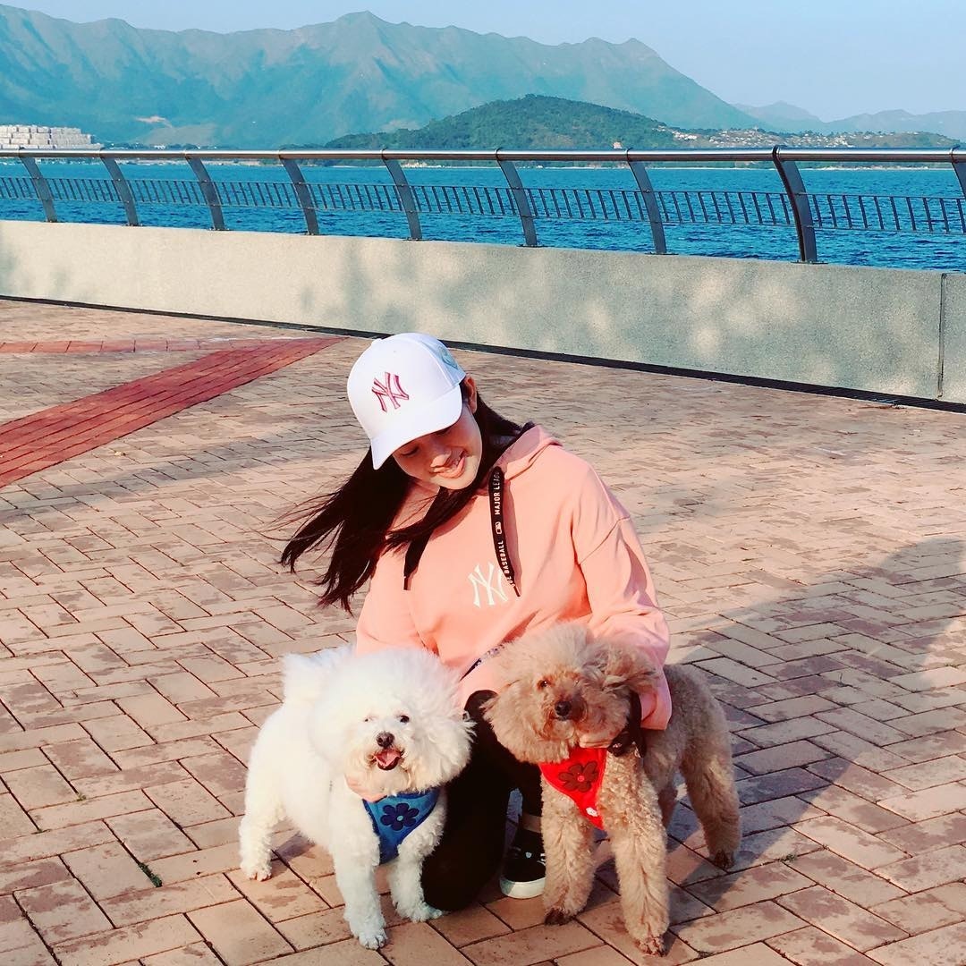 比熊犬「比比」(左)與貴婦狗「叻叻」(右)。(張美妮IG圖片) 比熊犬「比比」(左)與貴婦狗「叻叻」(右)。(張美妮IG圖片)