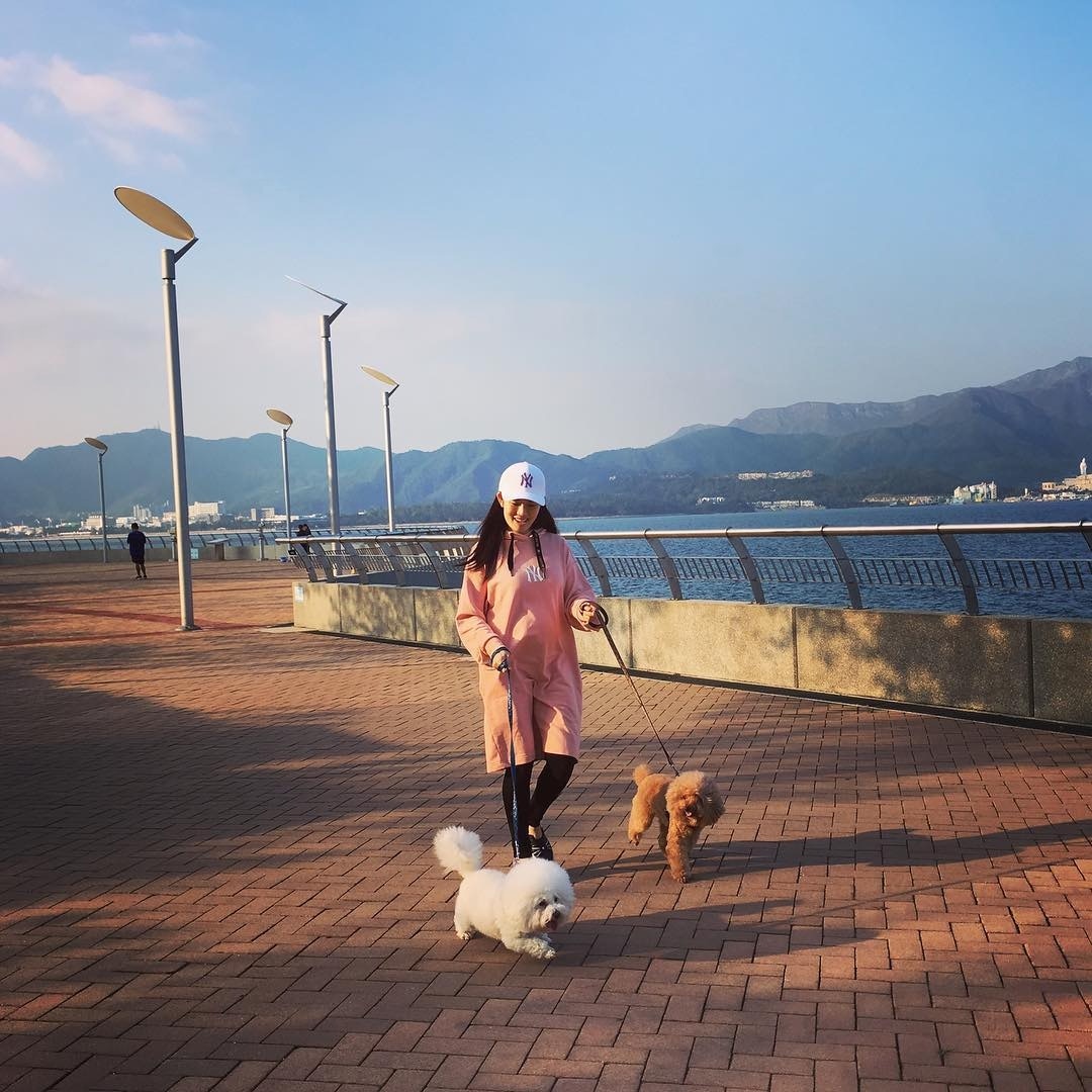 張美妮即使懷孕,仍然不忘帶兩狗外出散步。(張美妮IG圖片) 張美妮即使懷孕,仍然不忘帶兩狗外出散步。(張美妮IG圖片)