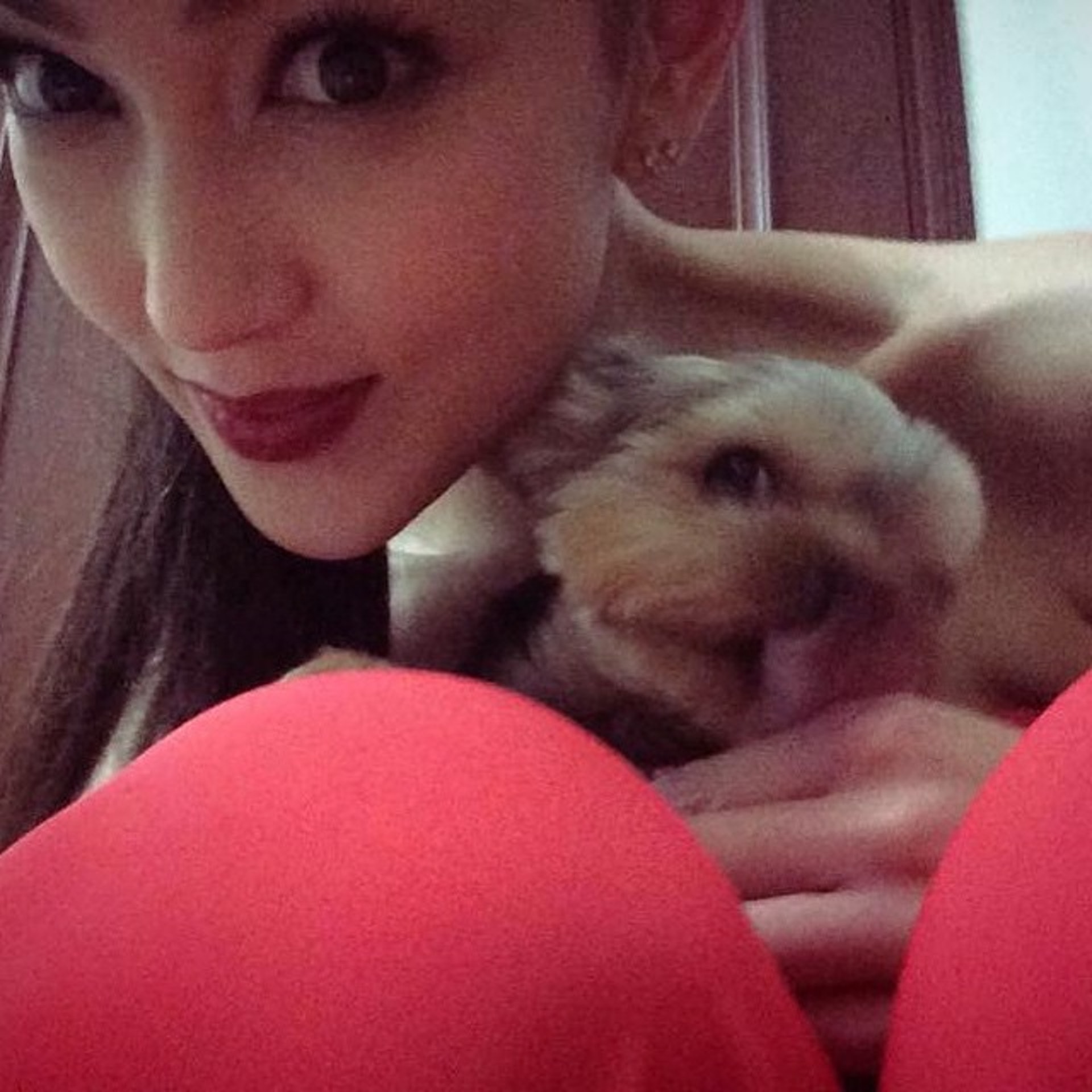 狗狗你今天精神好嗎?(Instagram圖片:jesscambensy) 狗狗你今天精神好嗎?(Instagram圖片:jesscambensy)