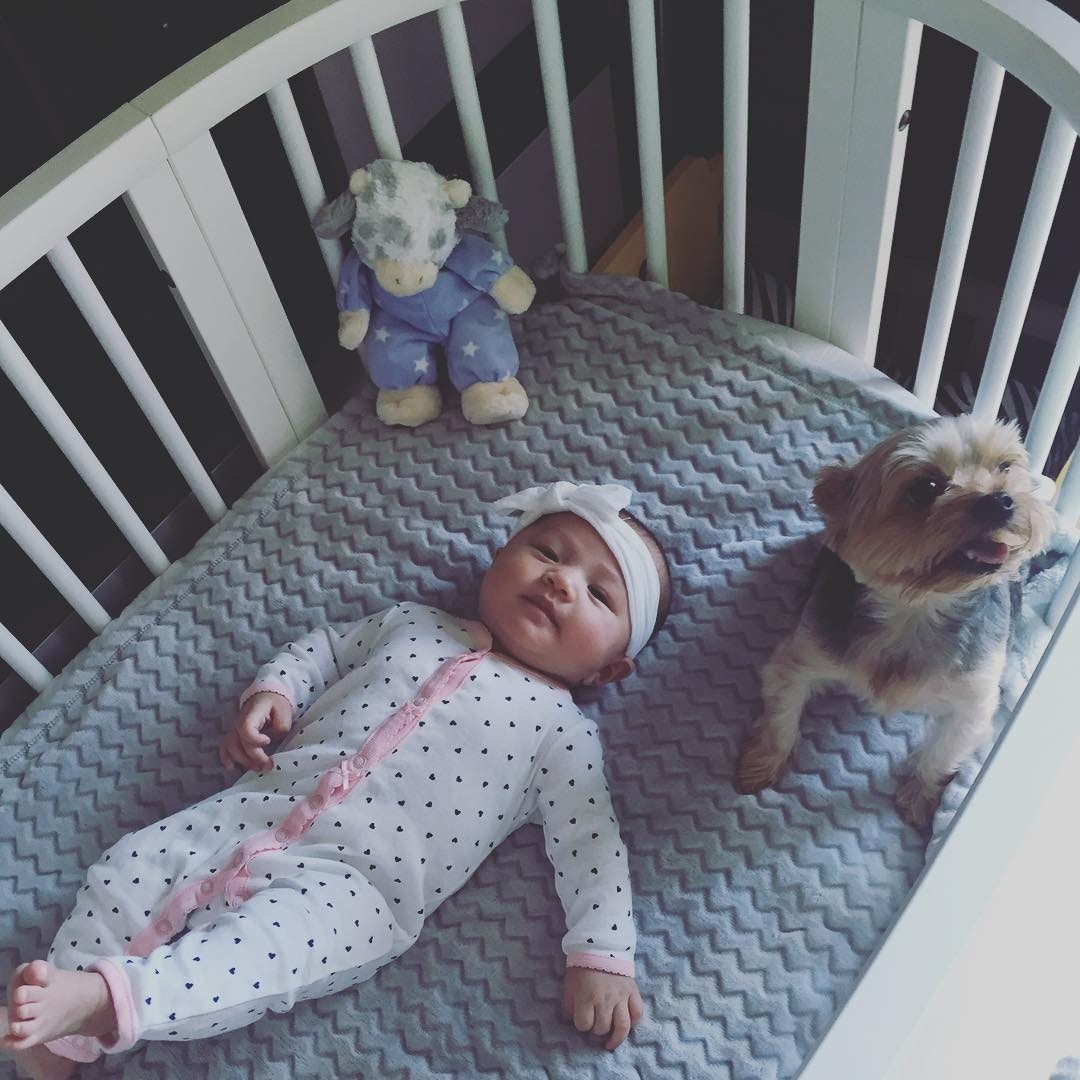 BB甚至會跟狗狗一起睡。(Instagram圖片:jesscambensy) BB甚至會跟狗狗一起睡。(Instagram圖片:jesscambensy)