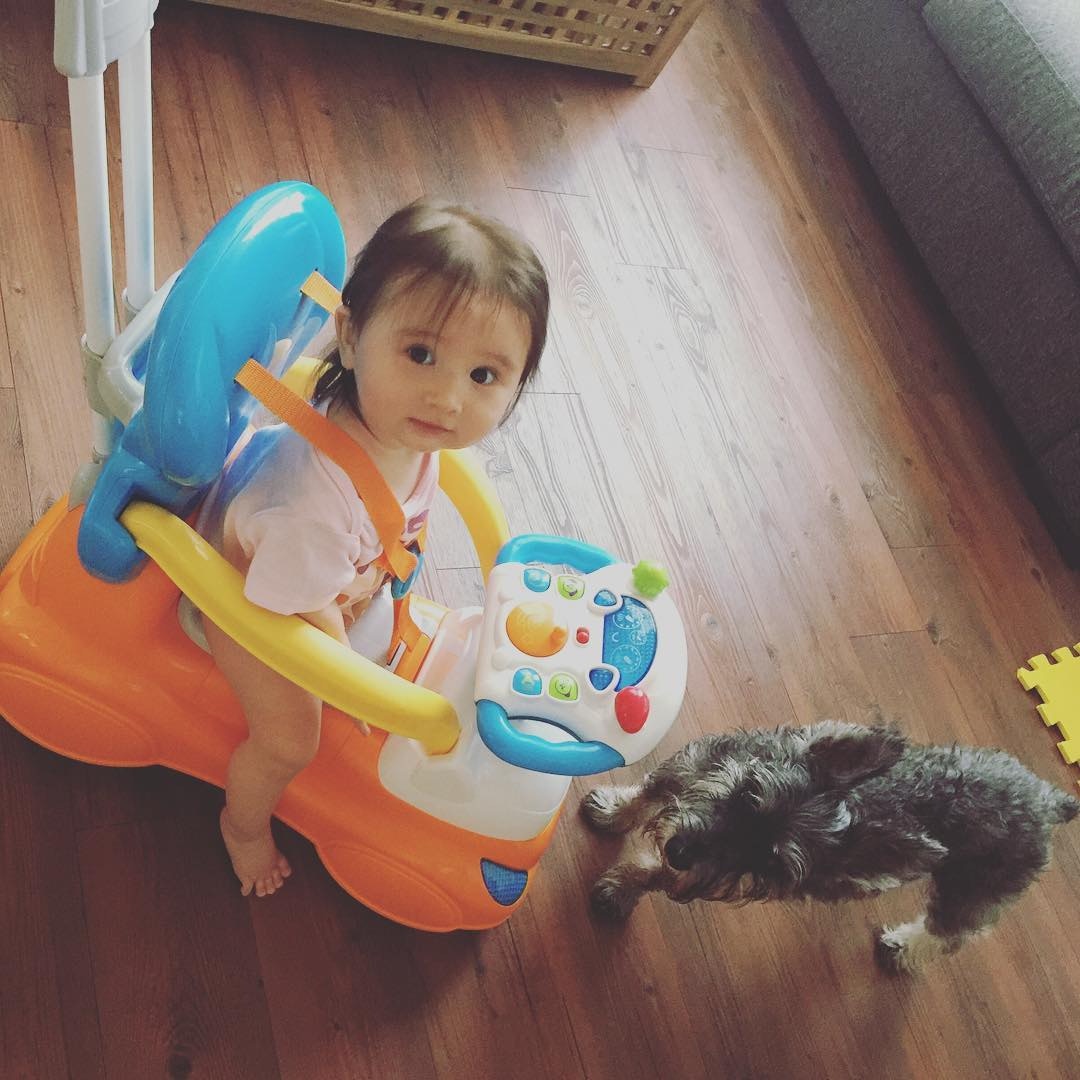 去到哪裏也有狗狗陪著。(Instagram圖片:ana_r) 去到哪裏也有狗狗陪著。(Instagram圖片:ana_r)