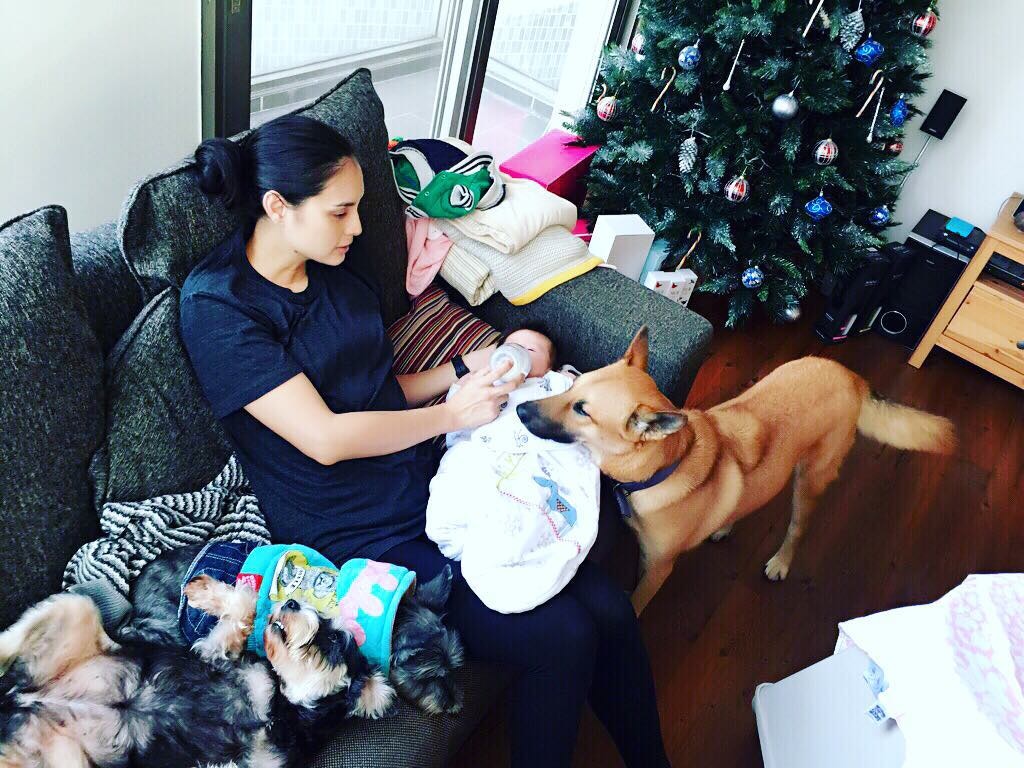 狗狗是大哥哥,看守著新成員。(Instagram圖片:ana_r) 狗狗是大哥哥,看守著新成員。(Instagram圖片:ana_r)