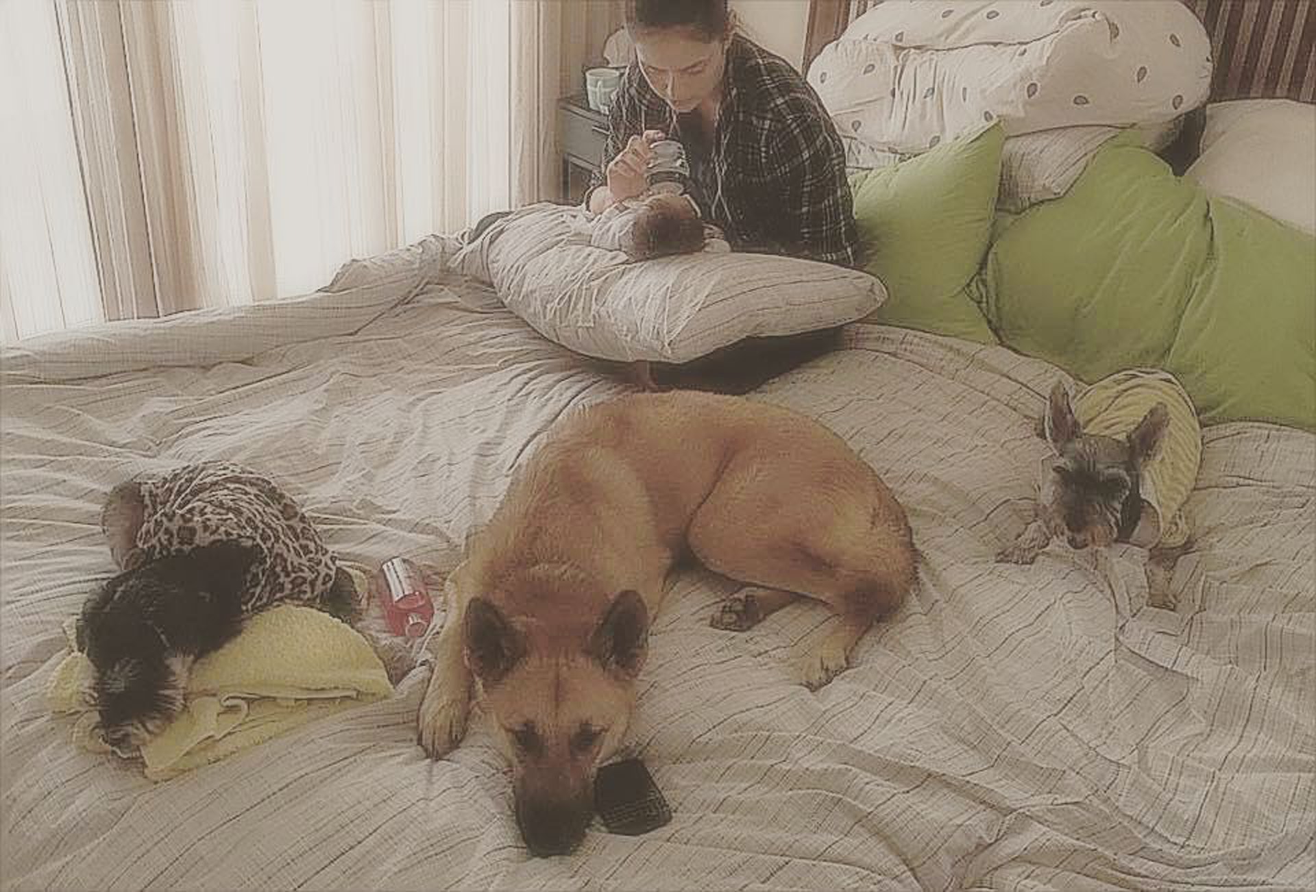 與狗狗們安靜地休息。(Instagram圖片:ana_r) 與狗狗們安靜地休息。(Instagram圖片:ana_r)