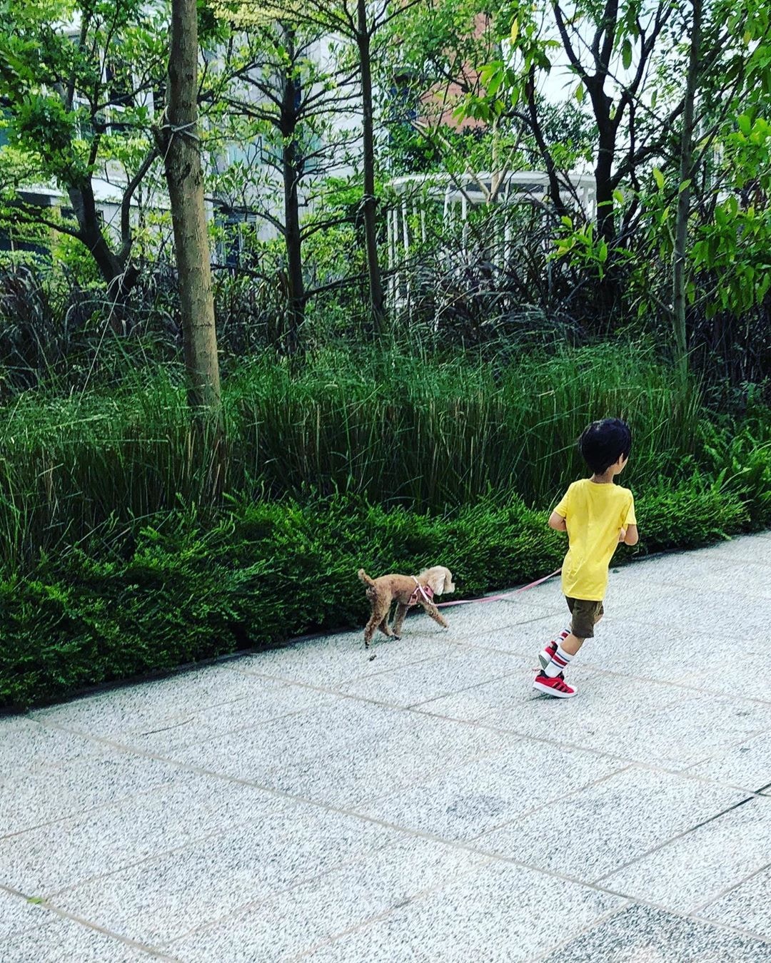 讓兒子學習放狗,陪養責任感。(少爺占IG圖片) 讓兒子學習放狗,陪養責任感。(少爺占IG圖片)