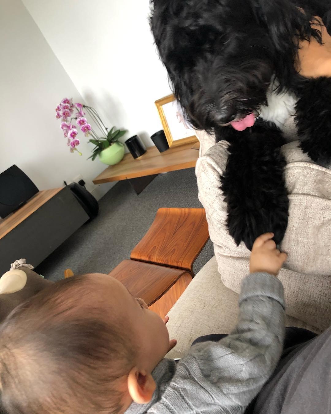 余文樂的兒子見到狗狗,一點也沒有害怕。(余文樂instagram圖片) 余文樂的兒子見到狗狗,一點也沒有害怕。(余文樂instagram圖片)