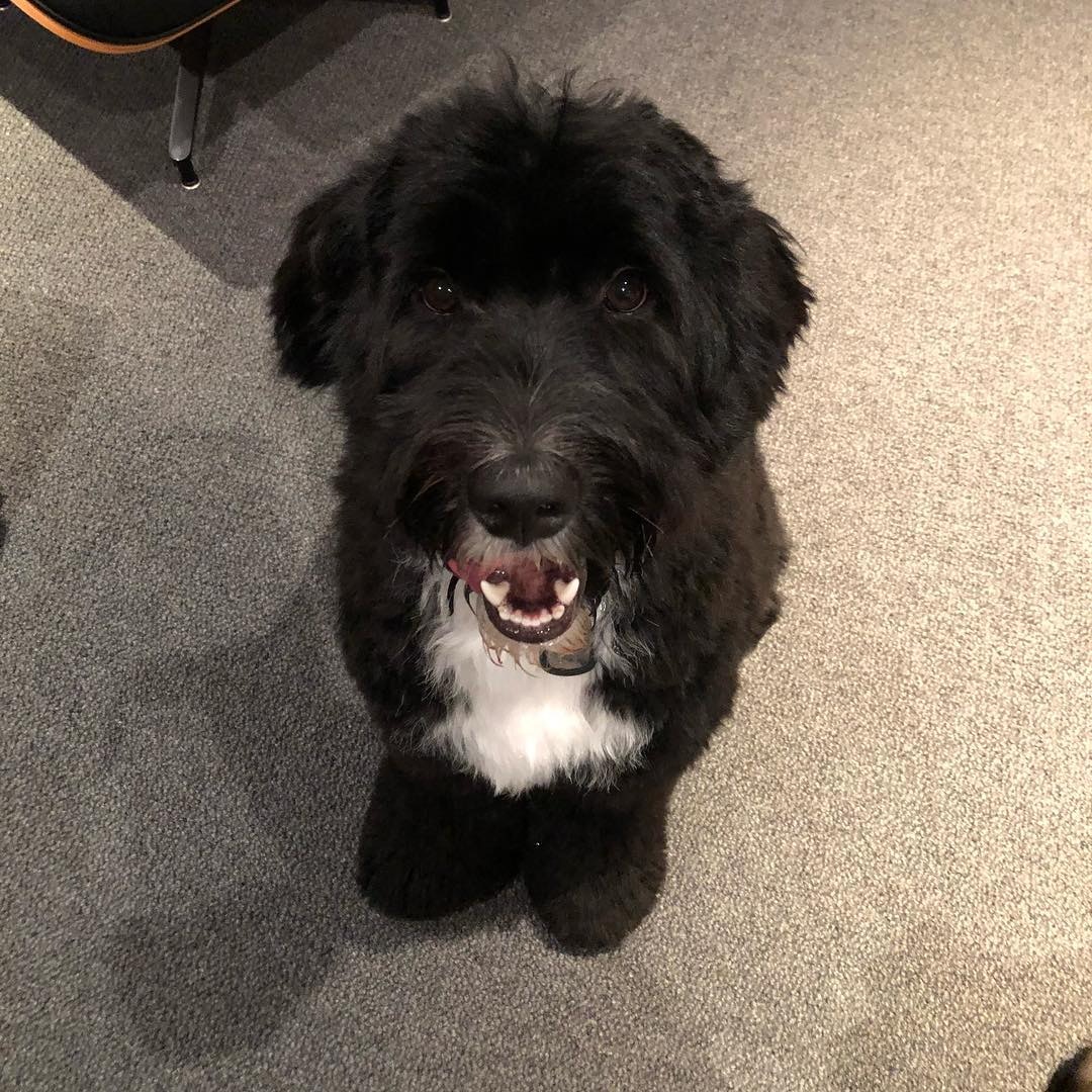 Rocco很可愛又體貼,會是兒子的好朋友。(余文樂instagram圖片) Rocco很可愛又體貼,會是兒子的好朋友。(余文樂instagram圖片)