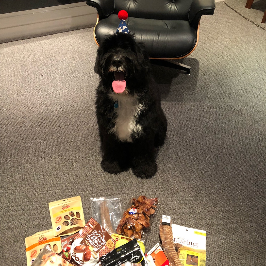 收穫豐富,都是買給Rocco的。(余文樂instagram圖片) 收穫豐富,都是買給Rocco的。(余文樂instagram圖片)