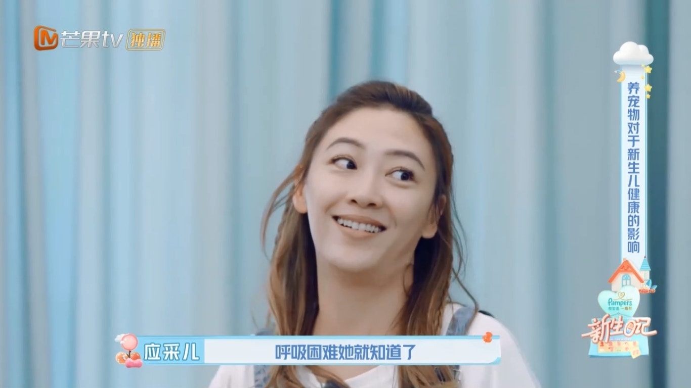 侃侃而談要把毛孩送走。(內地真人騷《新生日記》截圖) 侃侃而談要把毛孩送走。(內地真人騷《新生日記》截圖)