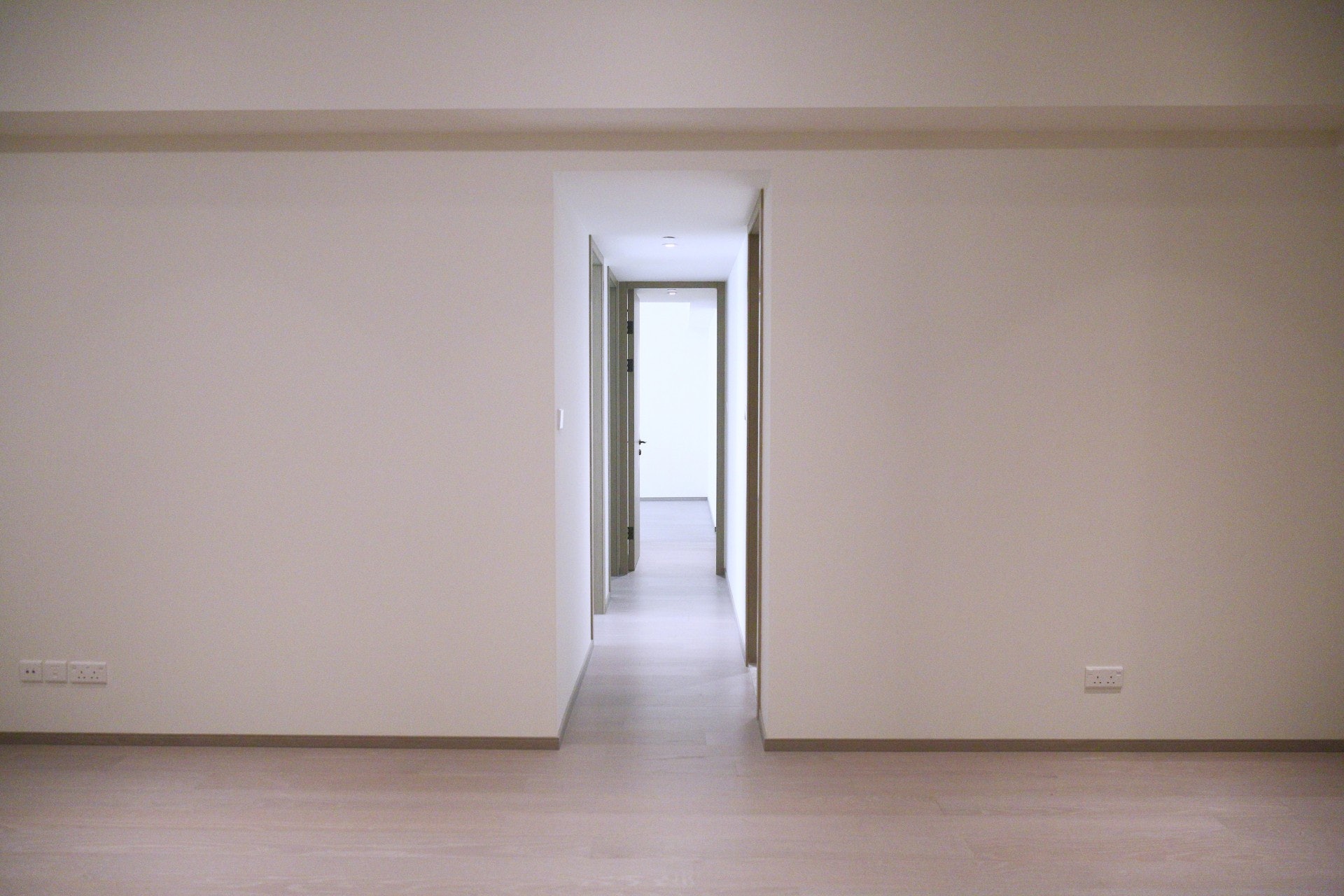 (歐嘉樂攝) (歐嘉樂攝)