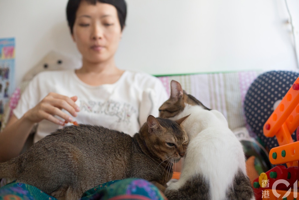 張婉雯關心動物並投身動物權益運動,最初是緣於自己在2002年養了一頭貓。(吳鍾坤攝) 張婉雯關心動物並投身動物權益運動,最初是緣於自己在2002年養了一頭貓。(吳鍾坤攝)
