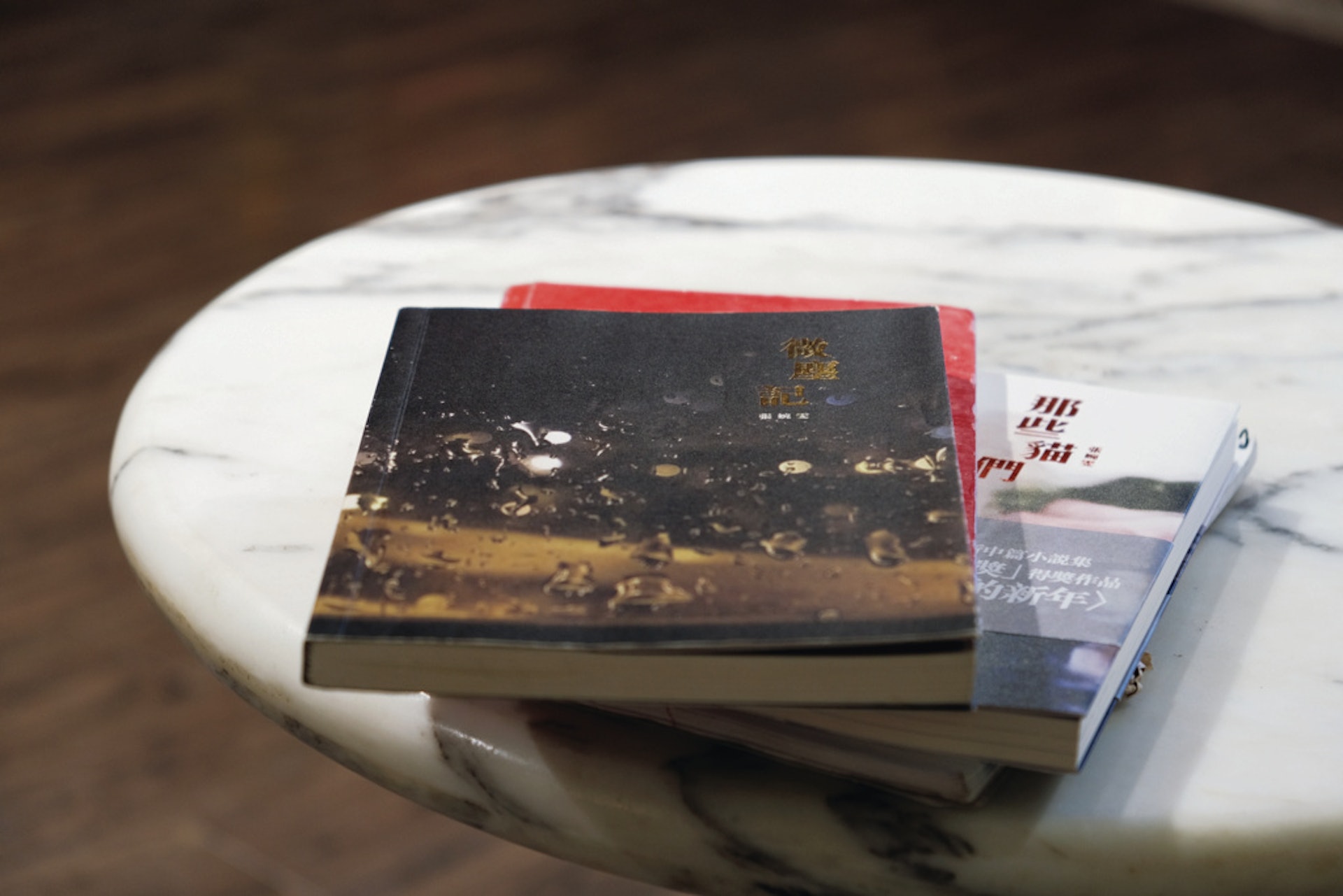 《那些貓們》是張婉雯的首本中篇小說集,過去的作品多是短篇。(吳雅倩攝) 《那些貓們》是張婉雯的首本中篇小說集,過去的作品多是短篇。(吳雅倩攝)