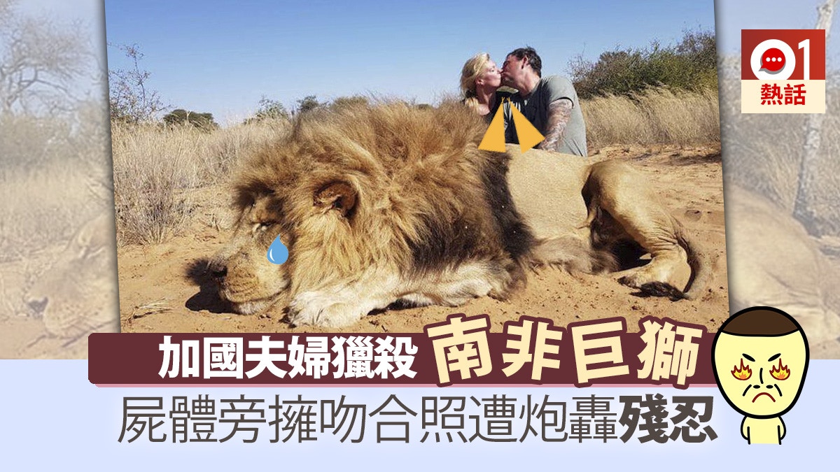 [問卦] 女兒為什麼會想要看死狒狒