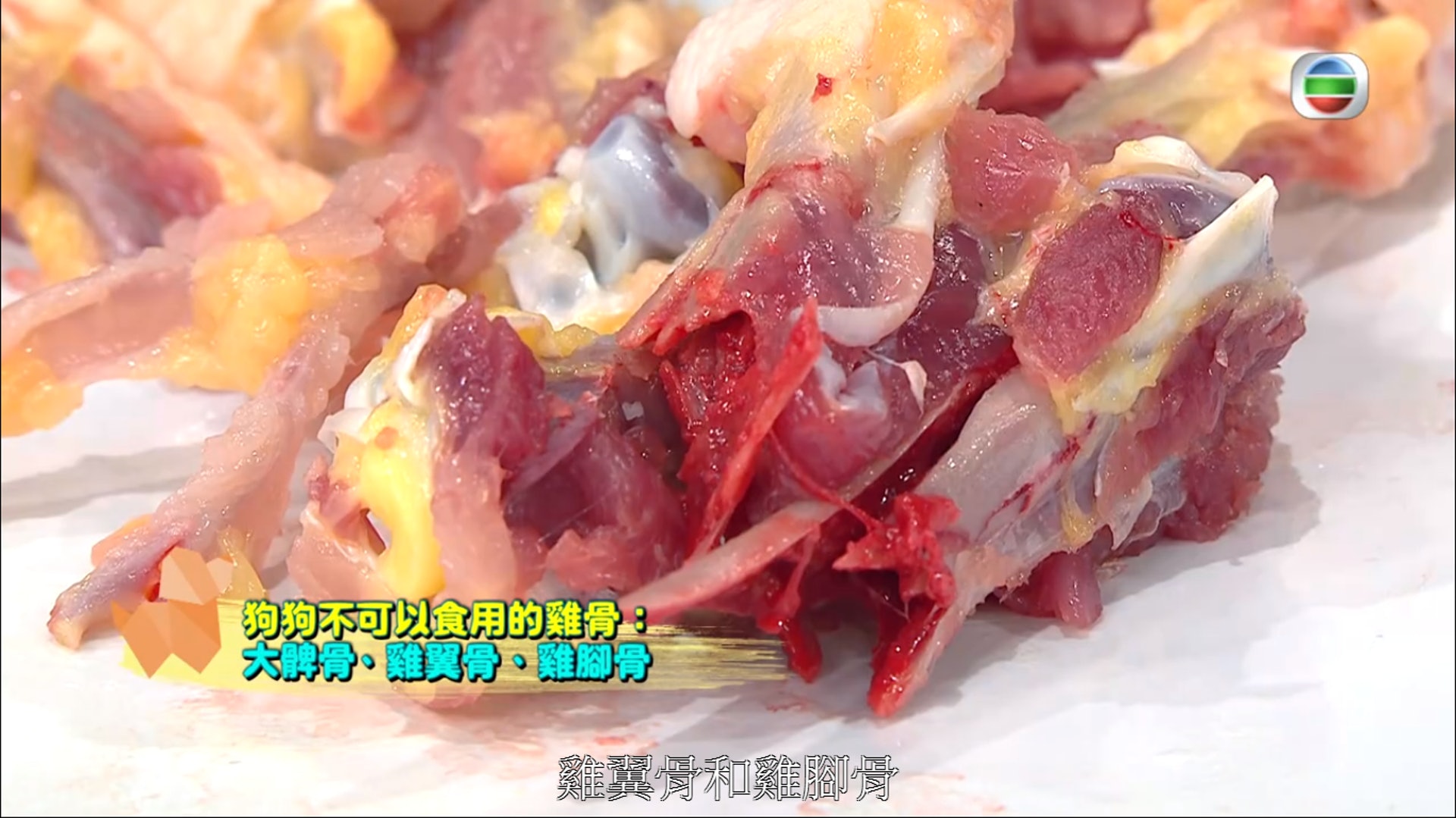 雞翼骨、雞腳骨亦不能給狗吃。(節目截圖) 雞翼骨、雞腳骨亦不能給狗吃。(節目截圖)
