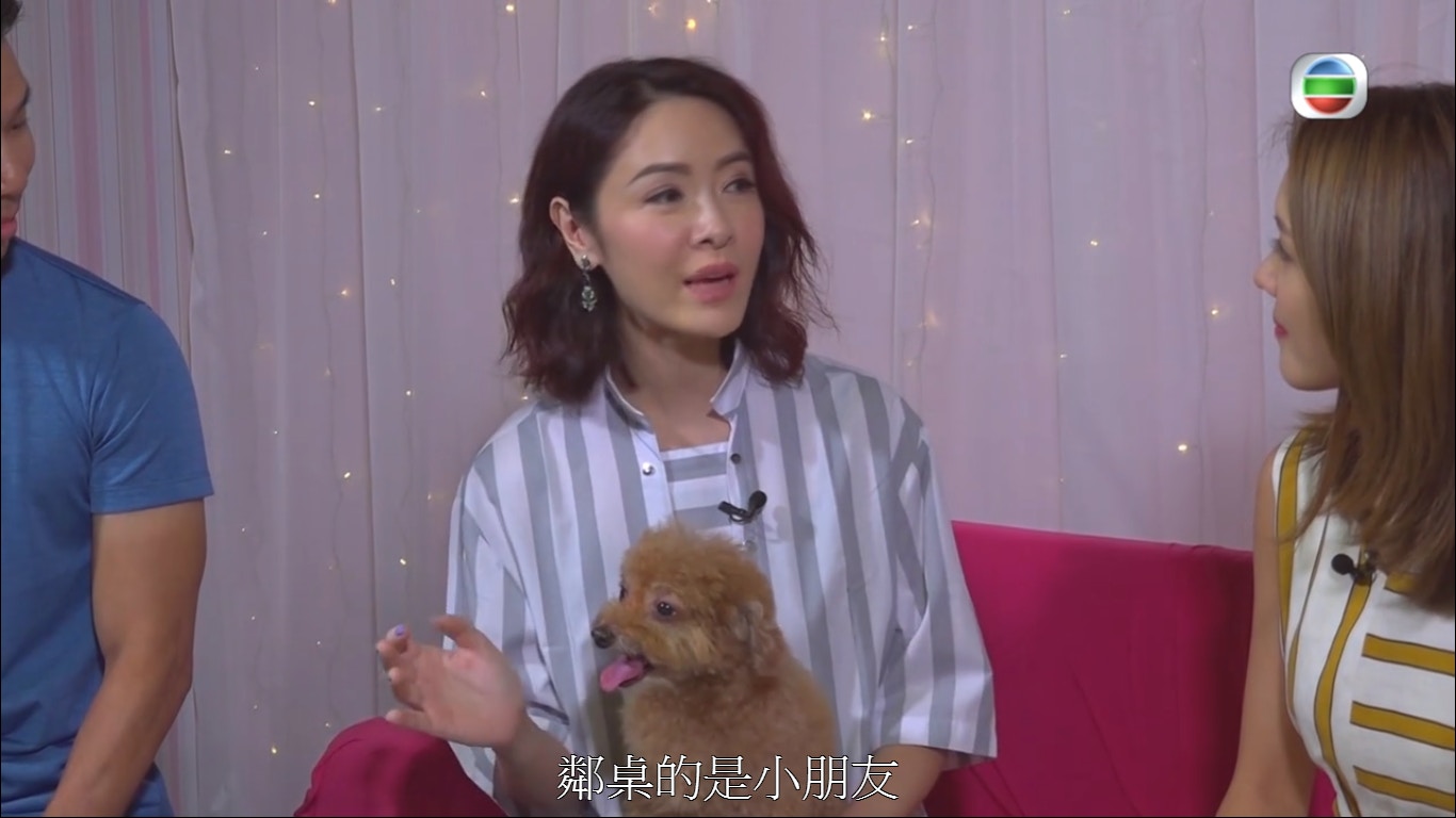 而且Chloe亦不喜歡小朋友。(《我的寵物》節目截圖) 而且Chloe亦不喜歡小朋友。(《我的寵物》節目截圖)