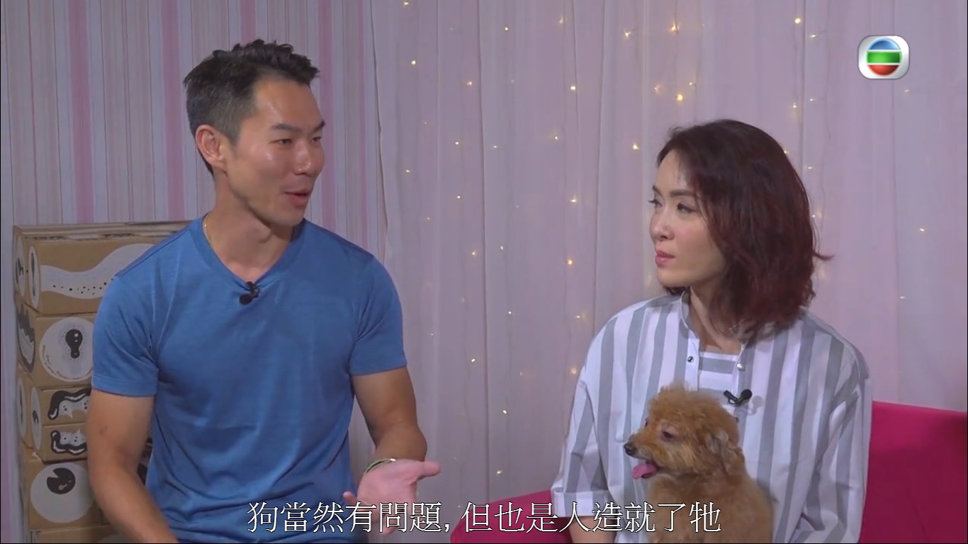 Decky決定出手解決Chloe太纏身的問題!(《我的寵物》節目截圖) Decky決定出手解決Chloe太纏身的問題!(《我的寵物》節目截圖)