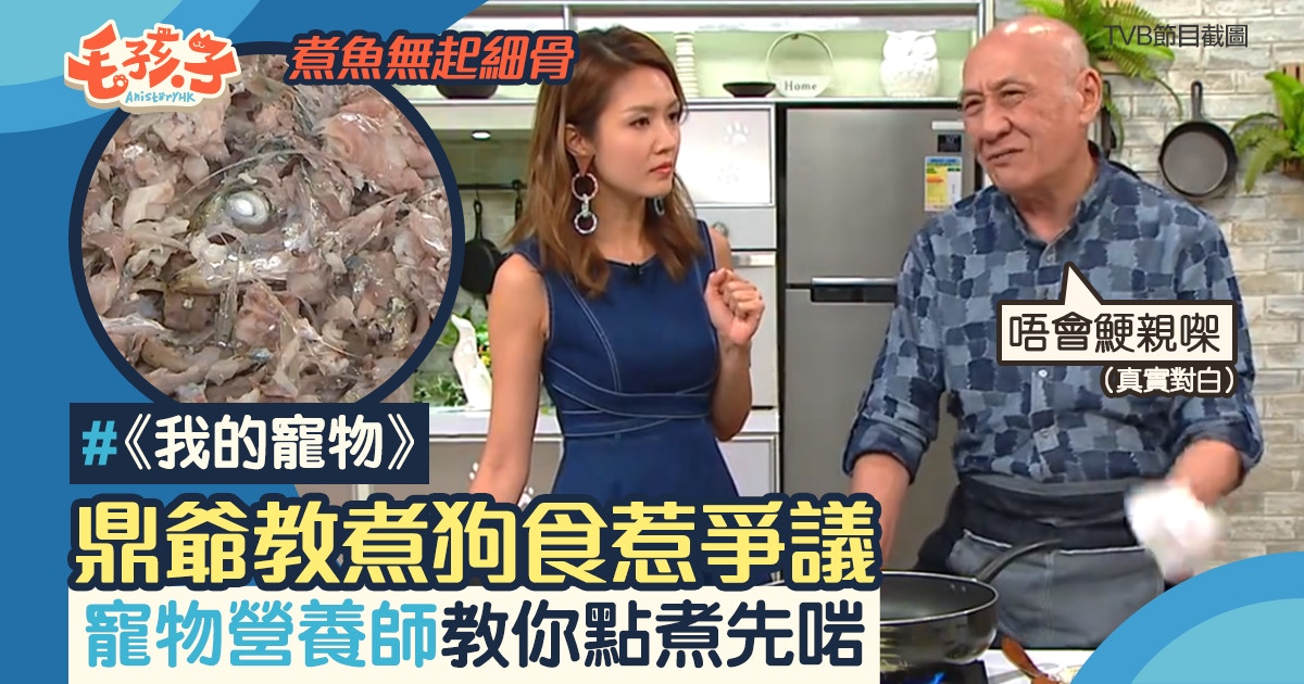 TVB寵物節目《我的寵物》本星期首播,邀請了李家鼎(鼎爺)為寵主示範狗食烹調手法,大受網民抨擊!(《我的寵物》節目截圖) TVB寵物節目《我的寵物》本星期首播,邀請了李家鼎(鼎爺)為寵主示範狗食烹調手法,大受網民抨擊!(《我的寵物》節目截圖)