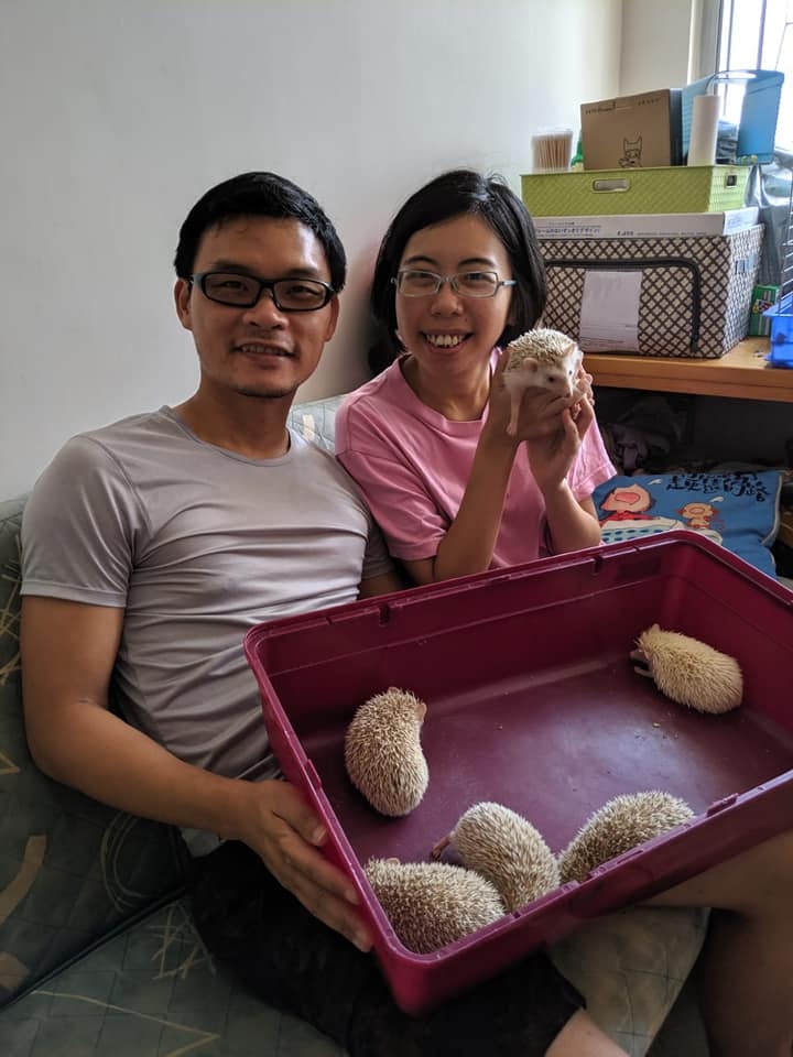 Anica見證著刺蝟們的成長。(受訪者提供) Anica見證著刺蝟們的成長。(受訪者提供)